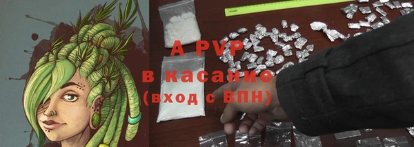 крисы Алексин