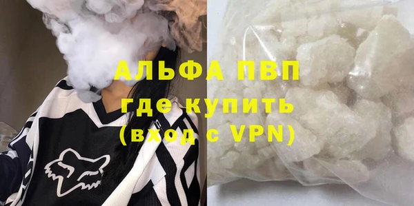 стаф Алзамай