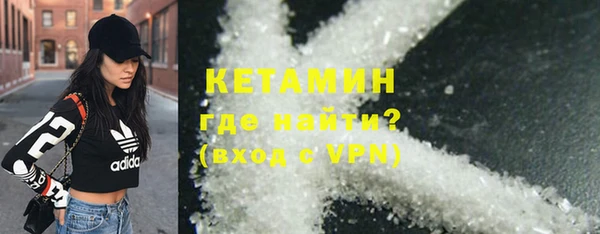 крисы Алексин