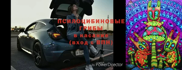 стаф Алзамай