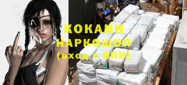 стаф Алзамай