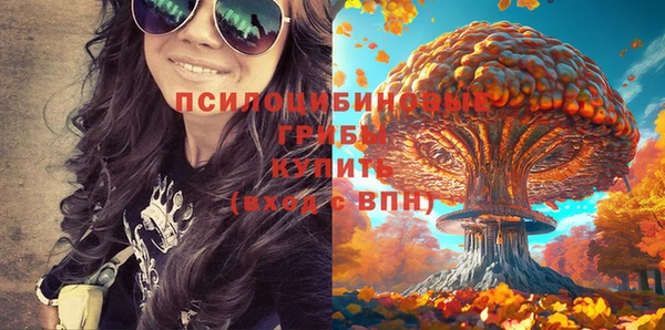 крисы Алексин