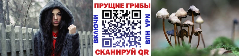 Галлюциногенные грибы прущие грибы  Копейск 